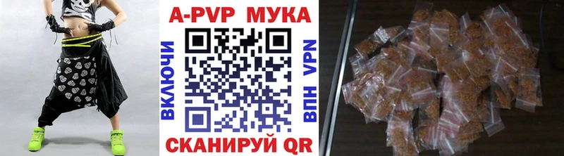 Альфа ПВП СК Кола