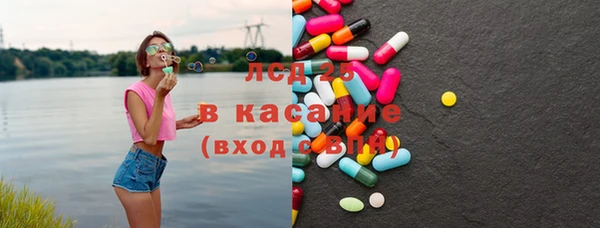 прущие грибы Алзамай