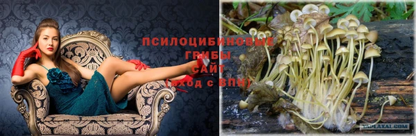 COCAINE Алексеевка