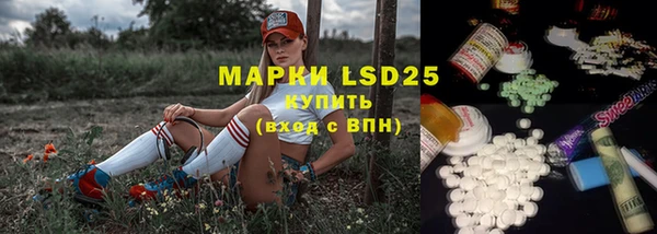 прущие грибы Алзамай