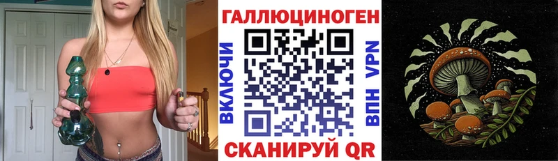 Псилоцибиновые грибы мицелий  Кола 